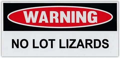 Amazon.com: lizard decals