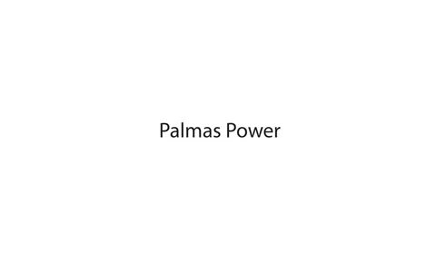 Palmas Power Energy branding option 1 Behance