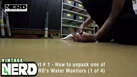 Part 1 - How to UNPACK one of NERD's Water Monitors (1 of 4)