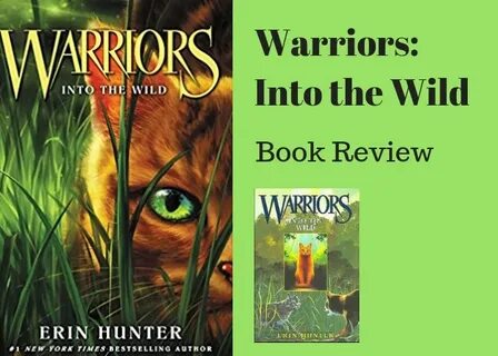 Warriors: Into The Wild Book Review - Canyon Echoes