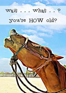 Funny Birthday Card - For friend - For horse lovers - Laughi