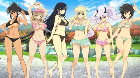 Senran kagura ecchi