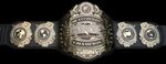 Custom IWGP World Heavyweight Championship Wwe belts, Profes