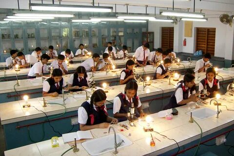 Biology Department's Blog Christ Nagar Hr Sec School