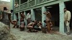 Nude black slaves are inspected - Auraj.eu