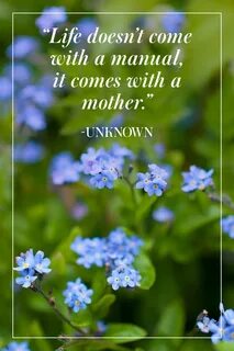 32 Heartfelt Quotes to Pay Tribute to Mothers Happy mother d