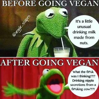 Drinking nut- and cow-milk before and after going vegan / ve