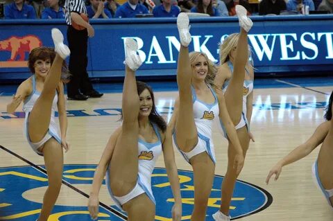 Wallpaper : basketball, cheerleaders, ucla, bruins, pantyhos