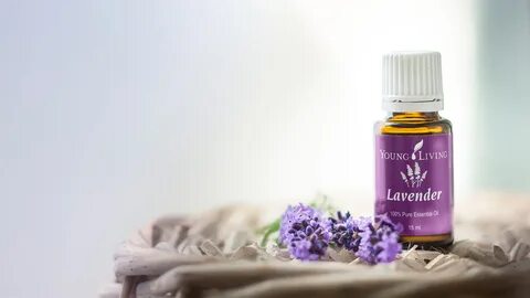 Young Living Lavender Oil : Young Living Lavender Essential 