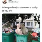 Trash Catties (@trashcatties) * Instagram fotoğrafları ve vi