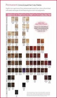 New Ion Permanent Hair Color Chart Pics Of Hair Color Trends