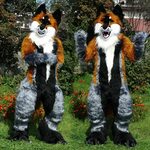 Woflie Fox fursuit FurR.CluB