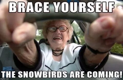 old lady driver Memes & GIFs - Imgflip