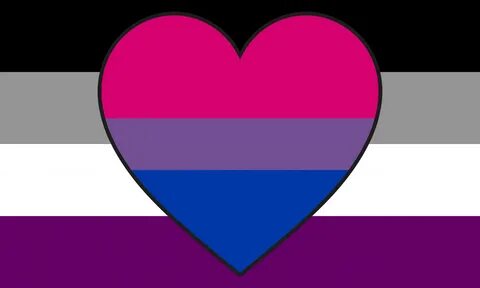 Asexual Biromantic Pride Flag The Pride Store PN0503 - The P