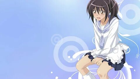 Ayuzawa Misaki HD Wallpapers and Backgrounds