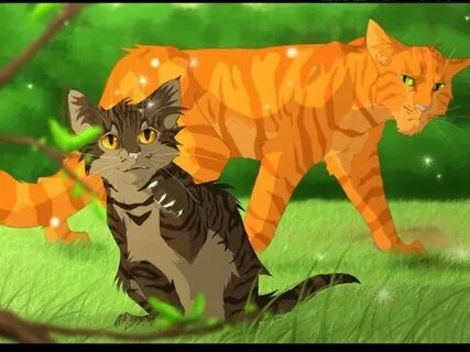 What Warrior Cat are you? Warrior cat drawings, Warrior cats