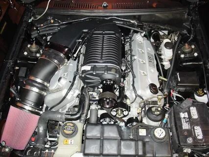 best supercharger for 03 cobra for Sale OFF-75