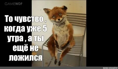 Meme: "hilarious Fox, sticker stoned Fox, stoned Fox selfie"