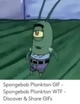 🐣 25+ Best Memes About Plankton Meme Plankton Memes