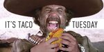 Taco Tuesday Meme - Saferbrowser Yahoo Image Search Results 