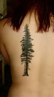 Note to self... Redwood tattoo, Tattoos, Hiking tattoo