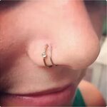 Double Nose Piercing Types, Jewelry, Pictures Body Piercing 