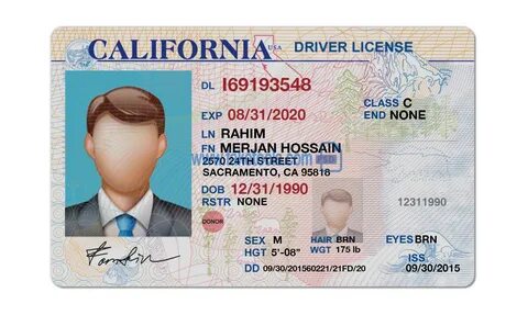 drivers license psd template - buy fake id photoshop templat