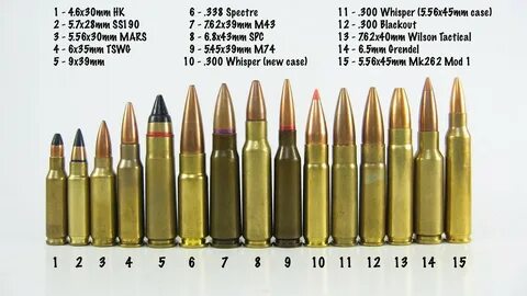 Firearms 101: Body Armor