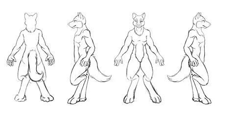 Wolf Furry Anatomy Reference - img-slobberknocker