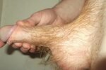 My Latest Hairy Cock Pics. Ginger Hairy Shaft pubes. - Fetis