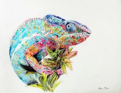 Colored Pencil Animal Drawings Related Keywords & Suggestion