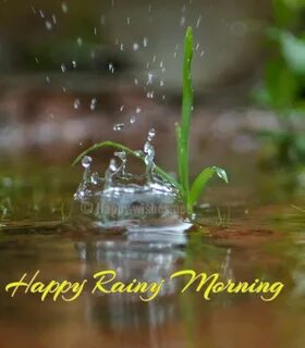 Happy Rainy Friday Images And Quotes / Because the weekend a