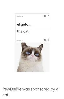 Spanish El Gato Edit the Cat English PewDiePie Was Sponsored