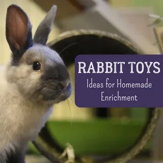 Diy Rabbit Toys With Toilet Paper Rolls - Mobile Legends