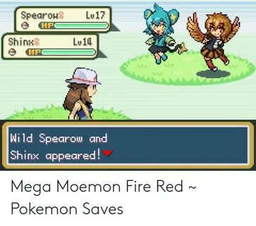 🐣 25+ Best Memes About Mega Moemon Mega Moemon Memes