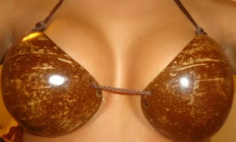 Coconut bra big boobs