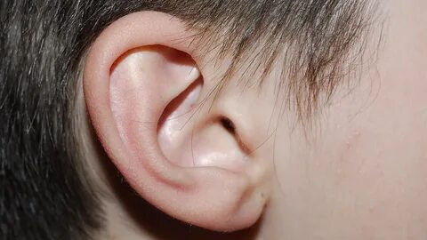 Collection of Ear HD PNG. PlusPNG