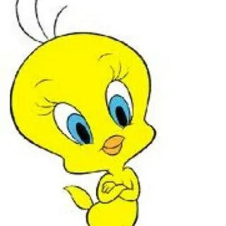 Piolin (@PiolinsLand) Twitter