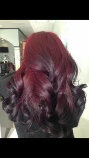 Color ombre- I used Pravana Vivids wild Orchid with red on z