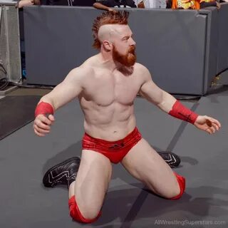 WWE Sheamus Image