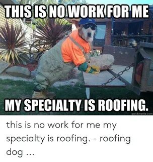 🐣 25+ Best Memes About Roofing Contractor Roofing Contractor