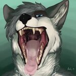 My Makeover Part II - My Maw by Cloverwolf68 -- Fur Affinity