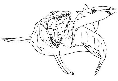 Mosasaurus and Shark Coloring Page - Free Printable Coloring