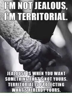 M NOT JEALOUS IM TERRITORIAL JEALOUSY IS WHEN YOU WANT SOMET