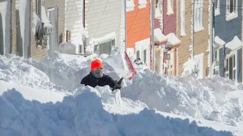 New Newfoundland Blizzard! (Rare Dairy Queen Promotional) - 