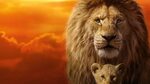 Wallpaper : Simba, Mufasa, The Lion King, lion 7680x4320 - P