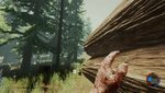 The Forest: гайд по выживанию в самом начале игры