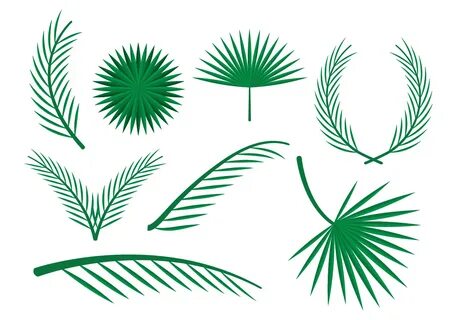 Gallery of vector palms * Boicotpreventiu.org