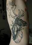 Moreno Mens side tattoos, Deer tattoo designs, Moose tattoo