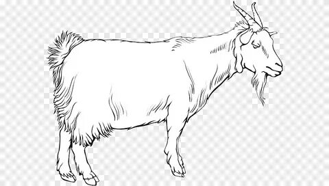 Linha de arte de ovinos de cabra boi de gado, cabra, animais